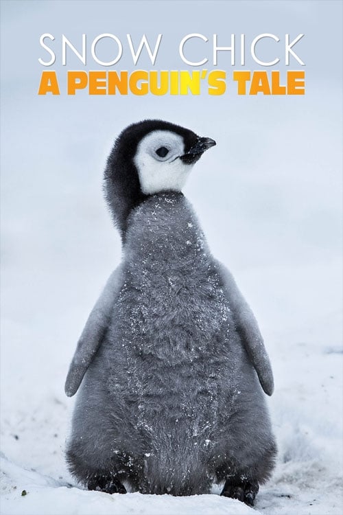 Постер Snow Chick - A Penguin's Tale